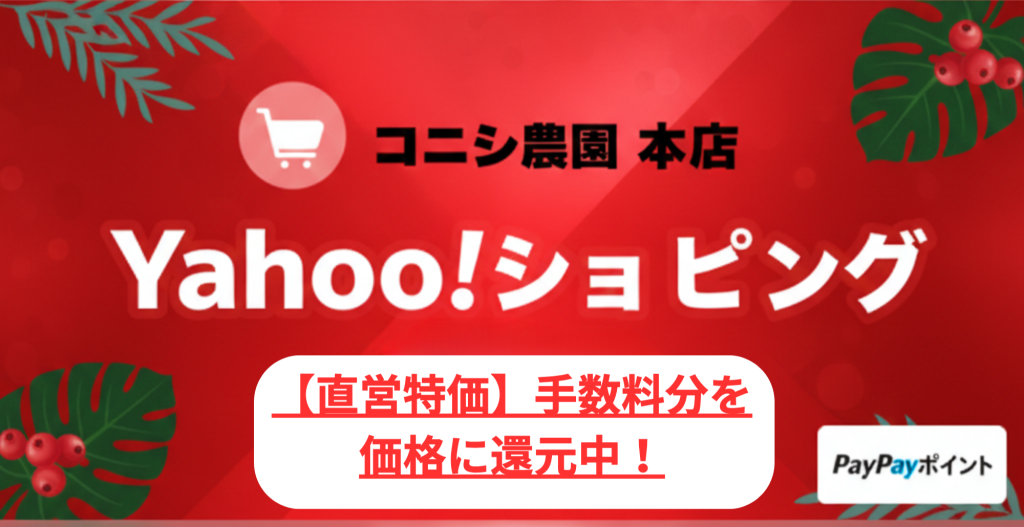 コニシ農園 Yahoo!ショッピング本店